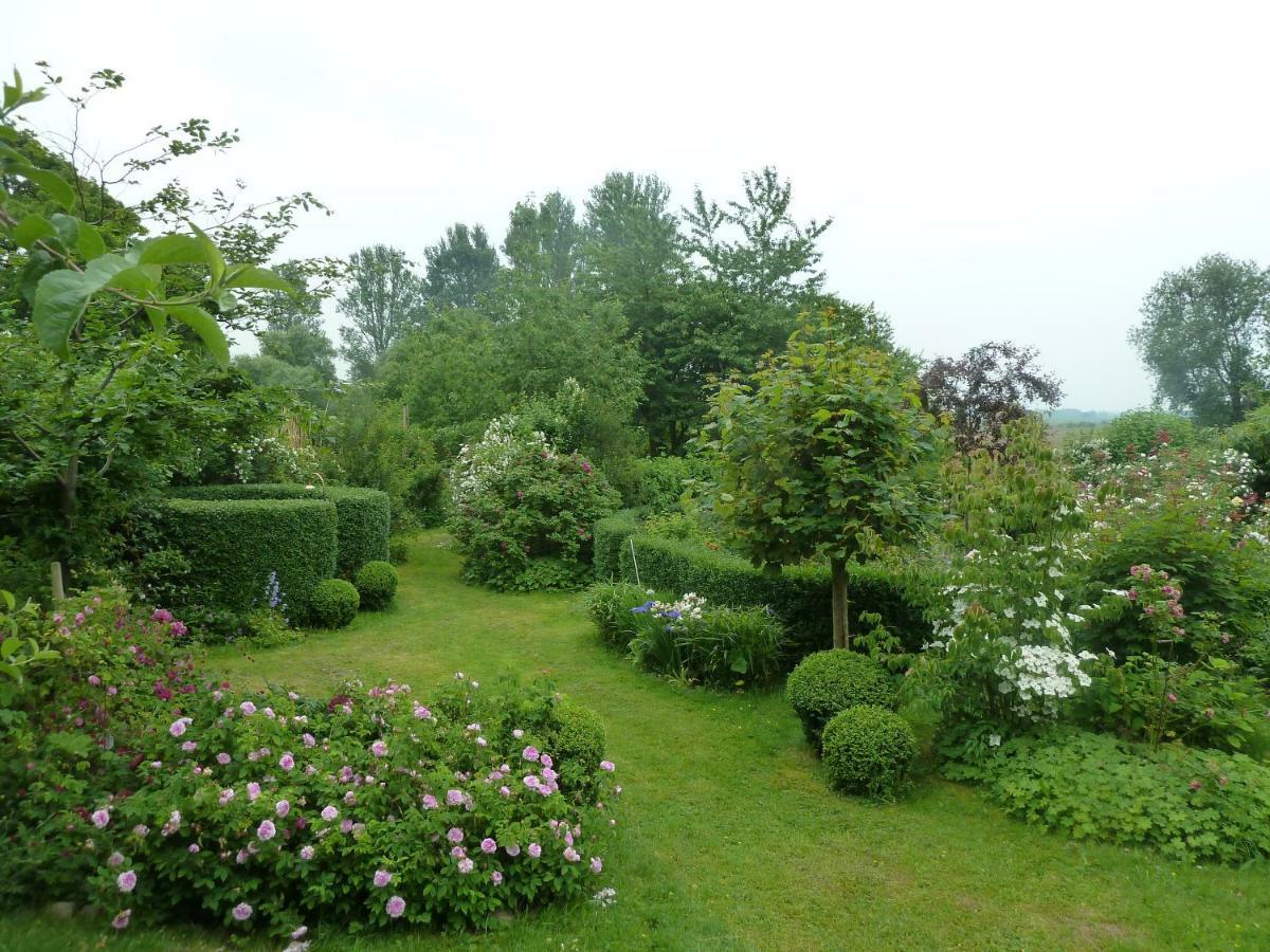 Gutshaus Altbauhof Lägenhet Dargun Exteriör bild